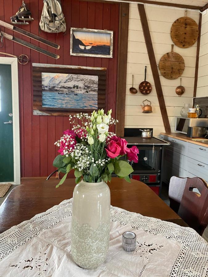 Kraemarvika Lodge Tromsø Kültér fotó