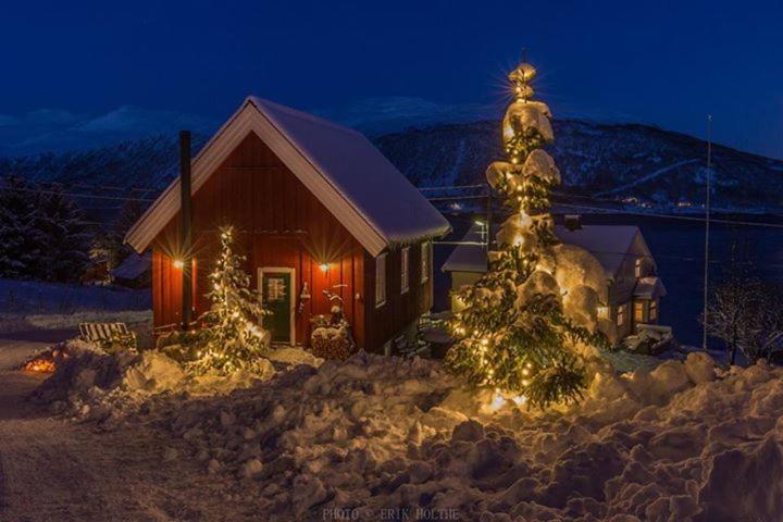Kraemarvika Lodge Tromsø Kültér fotó