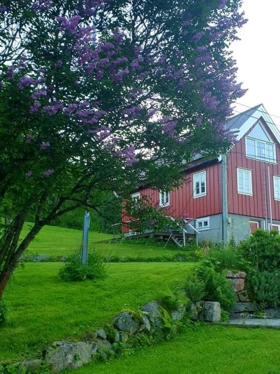 Kraemarvika Lodge Tromsø Kültér fotó